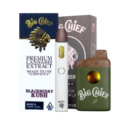 big chief disposable vapes